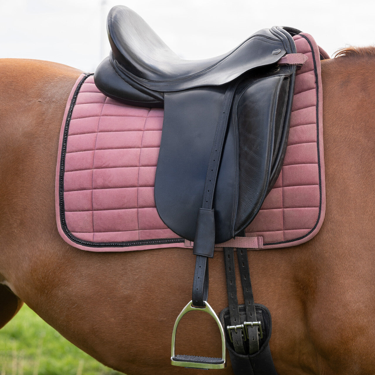 Estribo Stirrup cuero mono QHP para equitación - vista 22