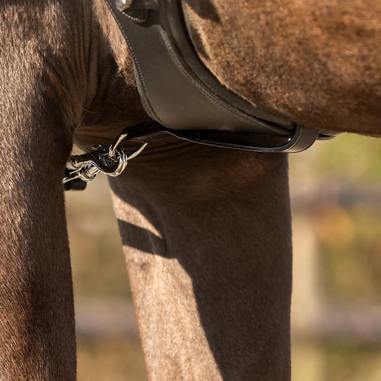 Cincha cincha loop QHP para equitación - vista 4