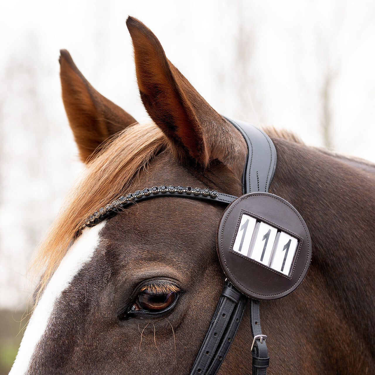 Mantillas Number holder Modeste round QHP para equitación