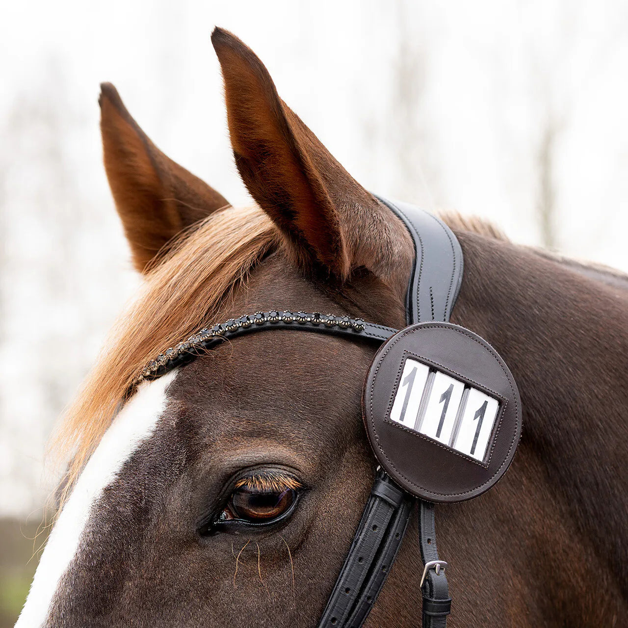 Mantillas Number holder Modeste round QHP para equitación - vista 2