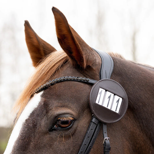 Mantillas Number holder Modeste round QHP para equitación - vista 2