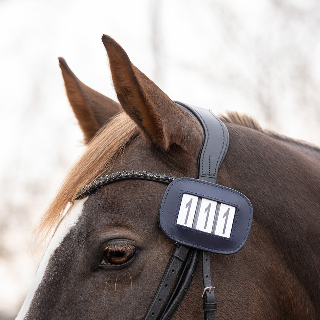 Mantillas Number holder Modeste square QHP para equitación - vista 17