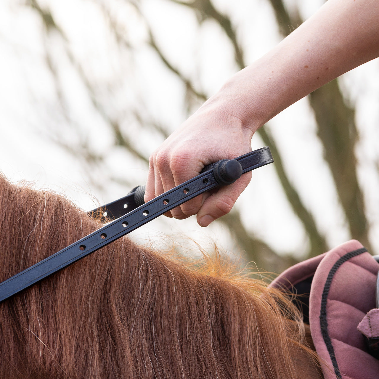 Riendas Uno hand rein QHP para equitación - vista 9