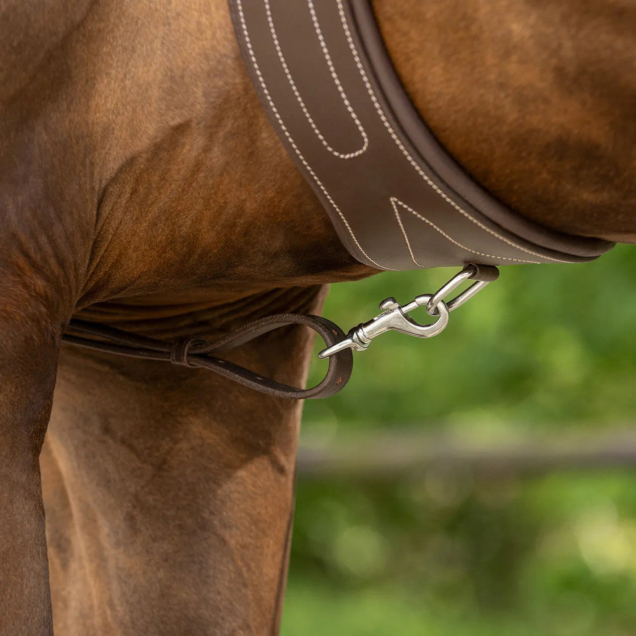 Pechopetral pechopetral con handle QHP para equitación - vista 2