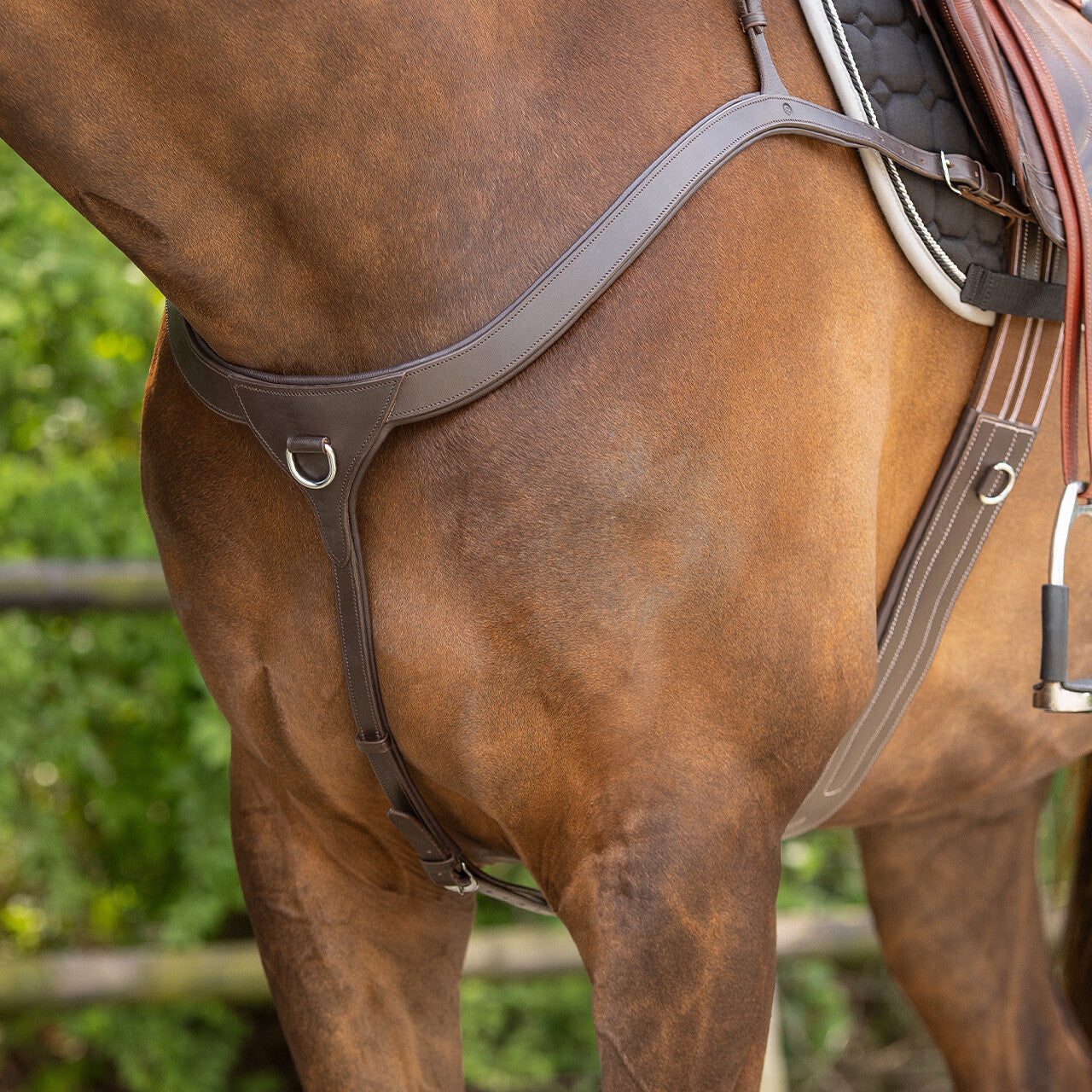 Pechopetral pechopetral con handle QHP para equitación - vista 28