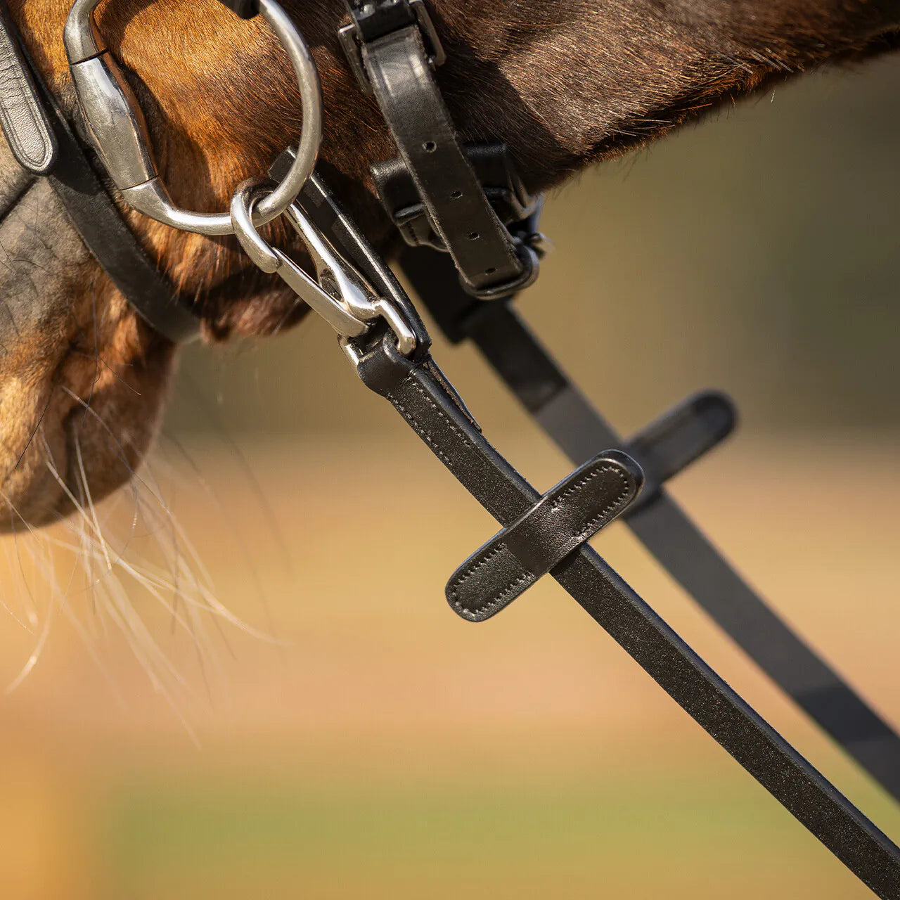 Riendas Rein Uno sided anti-slip con clip QHP para equitación - vista 6