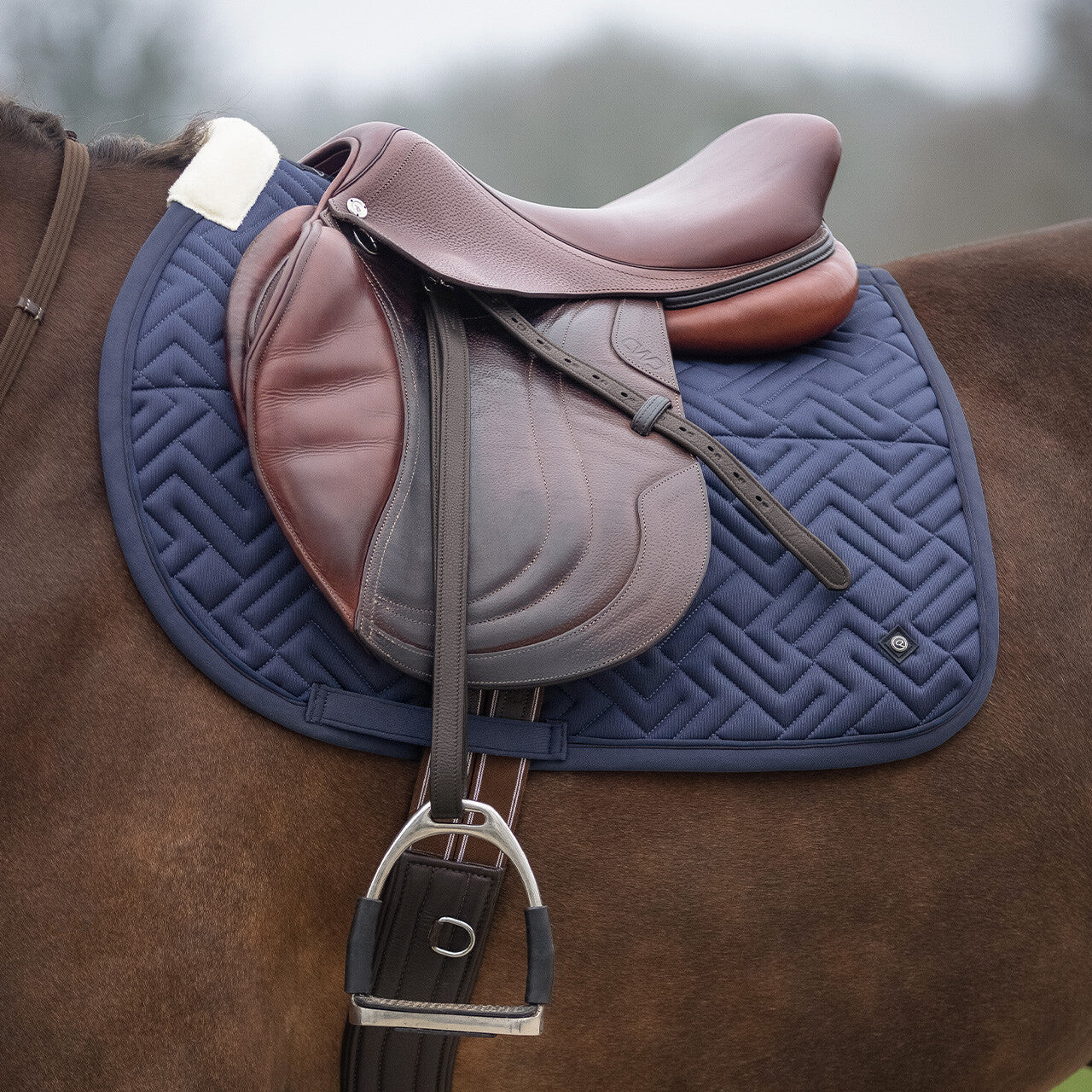Estribo Stirrup cuero Sensisoft QHP para equitación
