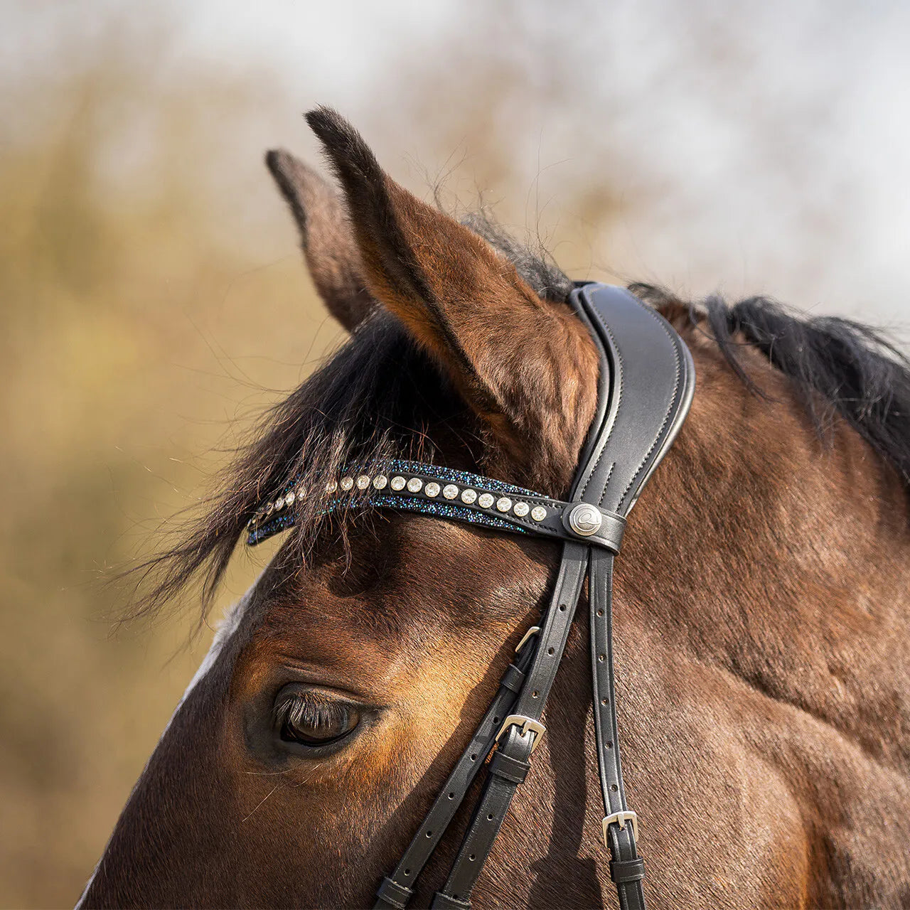 Cabezadas frontalera Skye QHP para equitación - vista 6