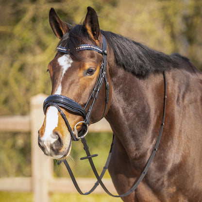 Cabezadas frontalera Skye QHP para equitación - vista 37