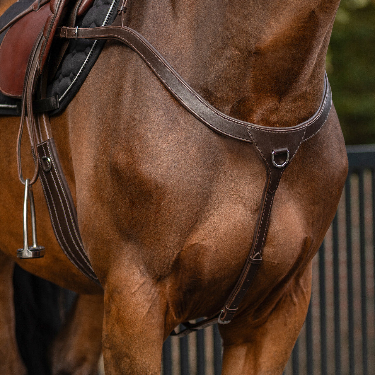 Pechopetral pechopetral con long bridge QHP para equitación - vista 30
