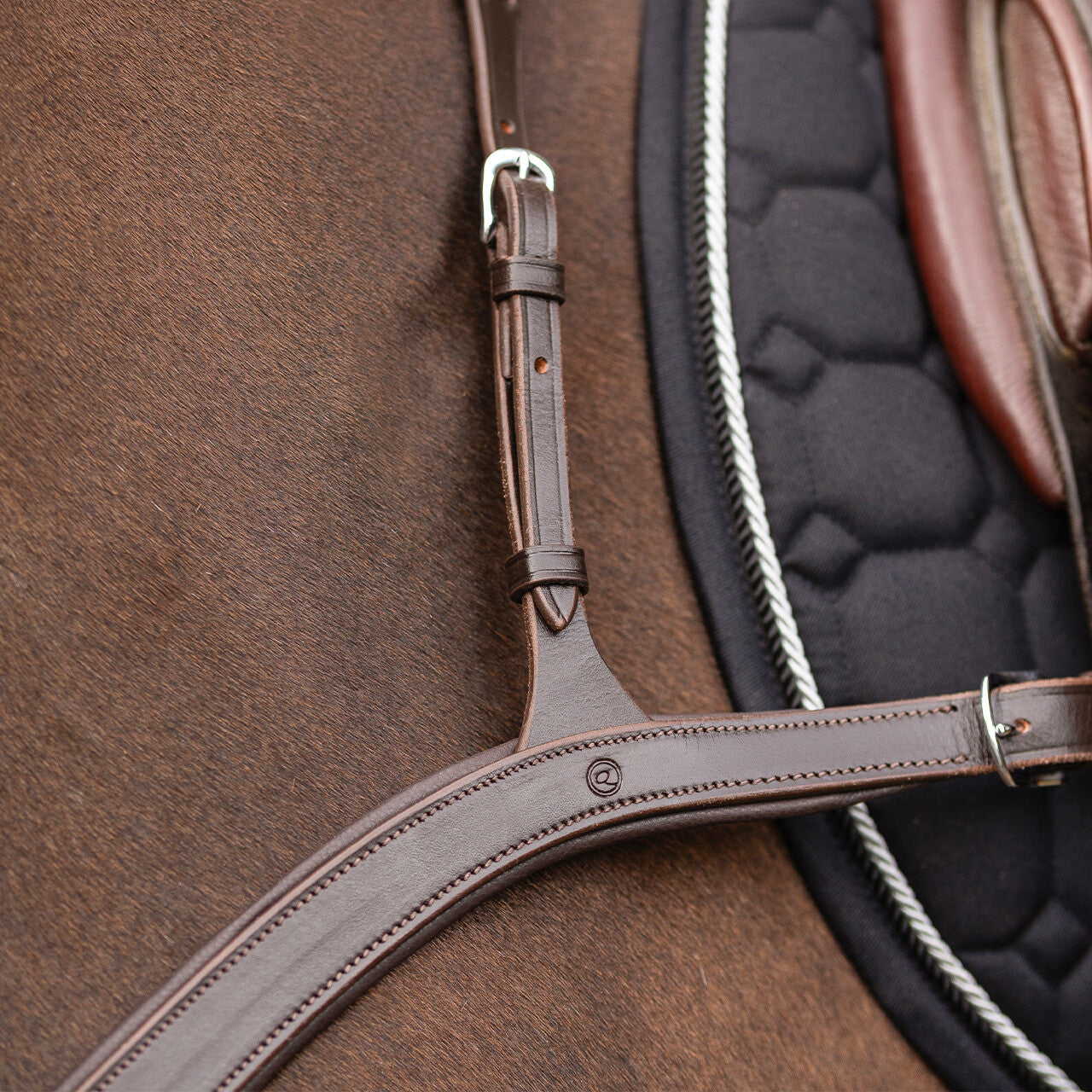 Pechopetral pechopetral con long bridge QHP para equitación - vista 3