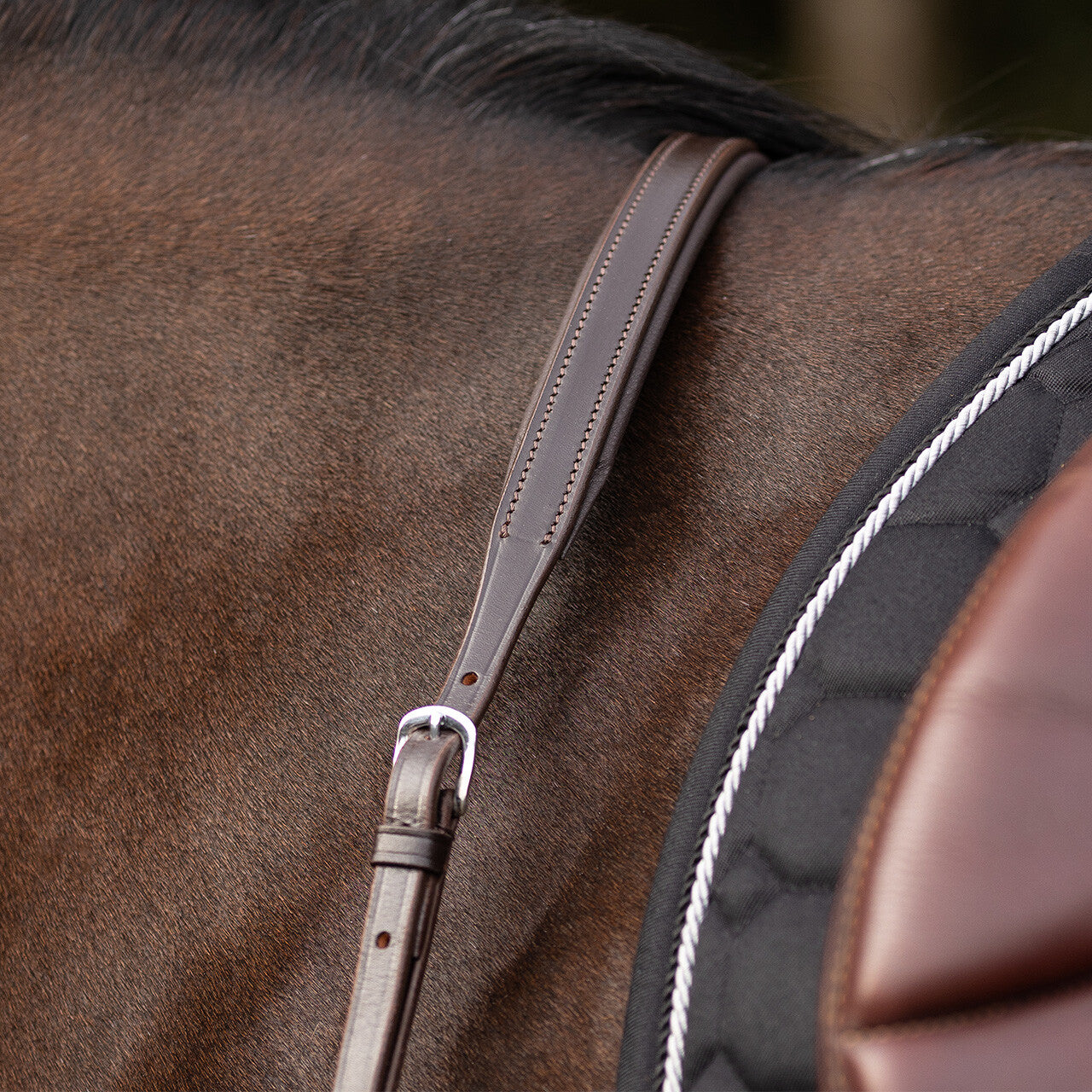 Pechopetral pechopetral con long bridge QHP para equitación - vista 25