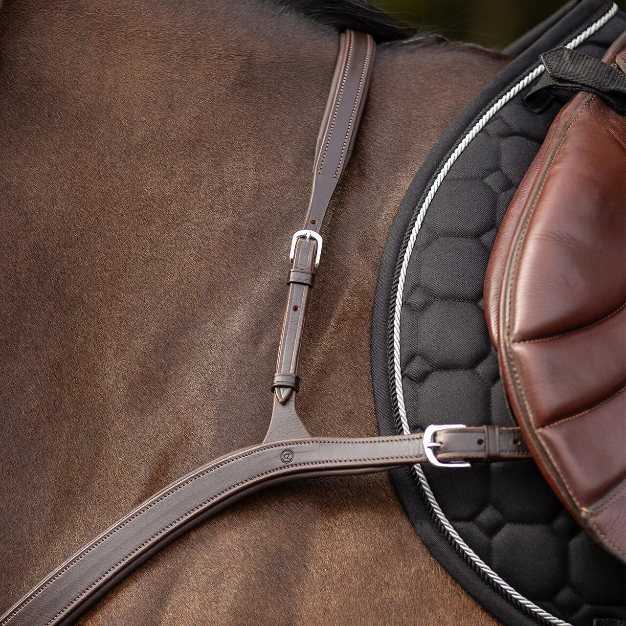Pechopetral pechopetral con long bridge QHP para equitación - vista 10