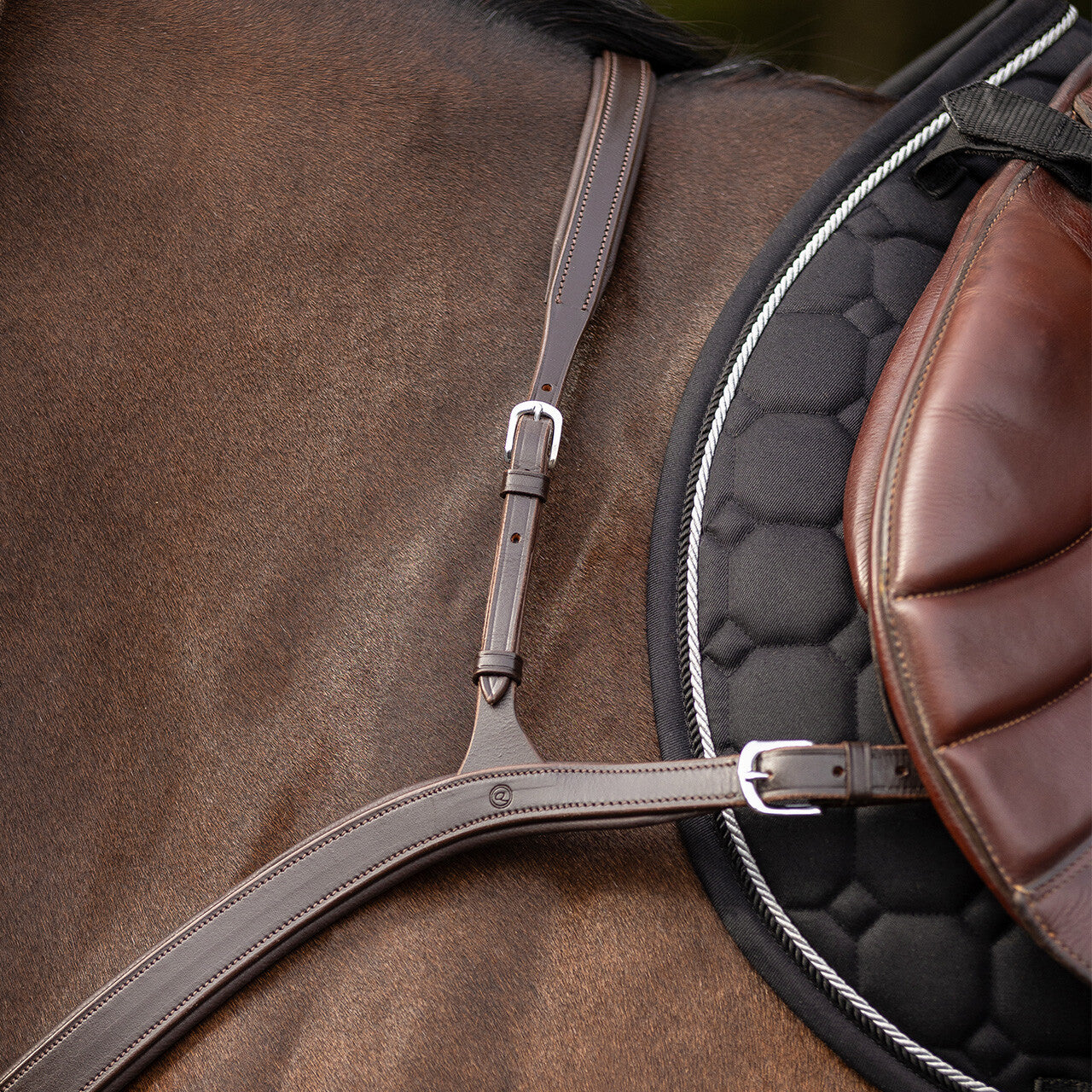 Pechopetral pechopetral con long bridge QHP para equitación - vista 34