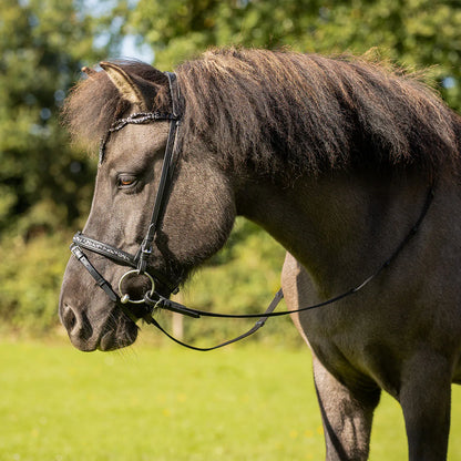 Cabezada inglesa Bridle Icelandic Frosti incl. reins QHP para equitación - vista 8