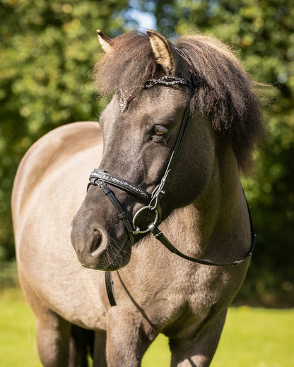 Cabezada inglesa Bridle Icelandic Frosti incl. reins QHP para equitación - vista 10