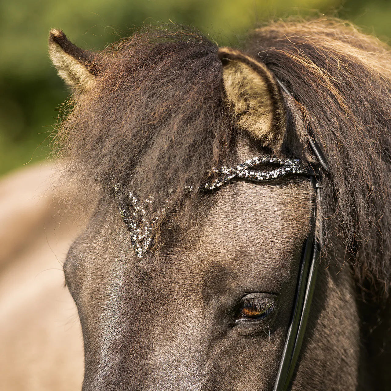 Cabezada inglesa Cabezada inglesa Icelandic Frosti incl. reins QHP para equitación - vista 12