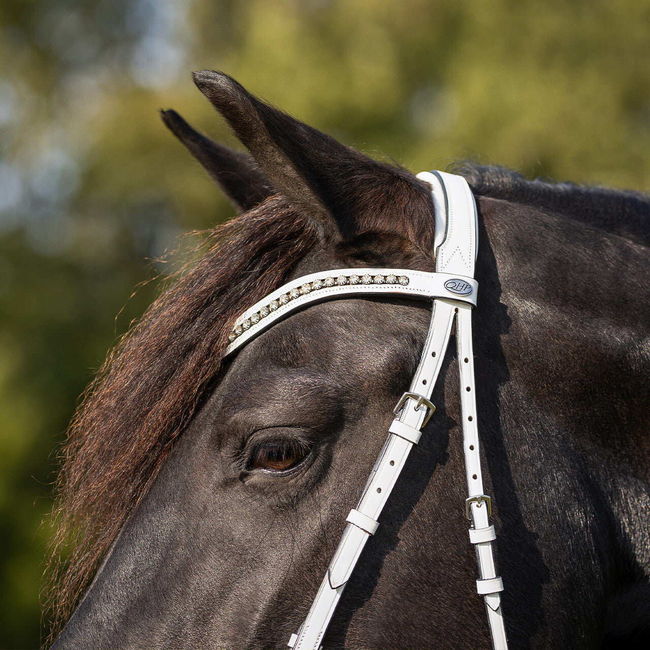 Cabezada inglesa Show Cabezada inglesa Luxe QHP para equitación - vista 7
