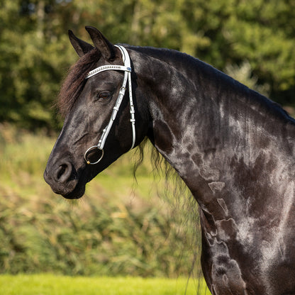 Cabezada inglesa Show bridle Luxe QHP para equitación - vista 9