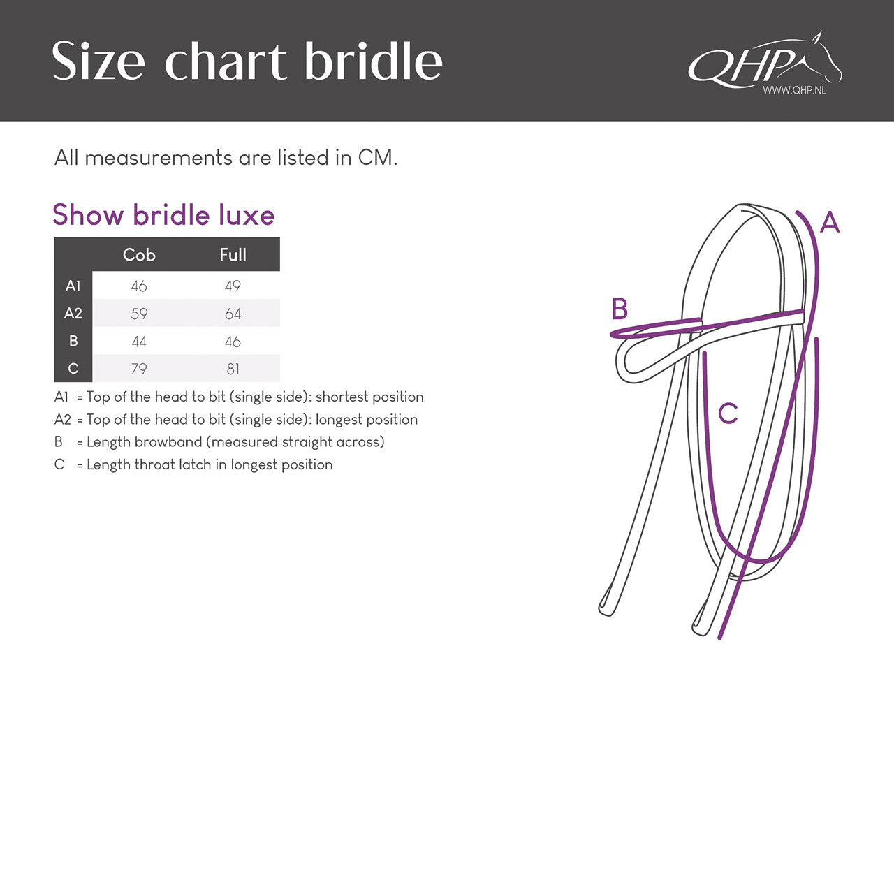 Cabezada inglesa Show Cabezada inglesa Luxe QHP para equitación - vista 13