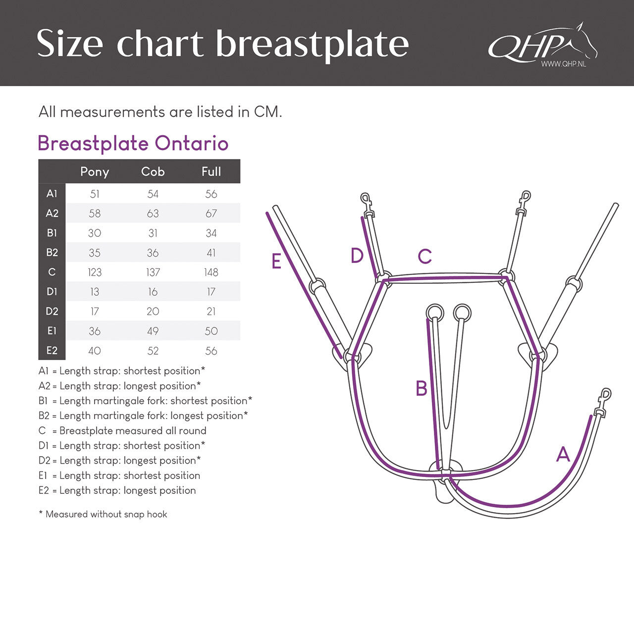 Pechopetral pechopetral Ontario QHP para equitación - vista 9