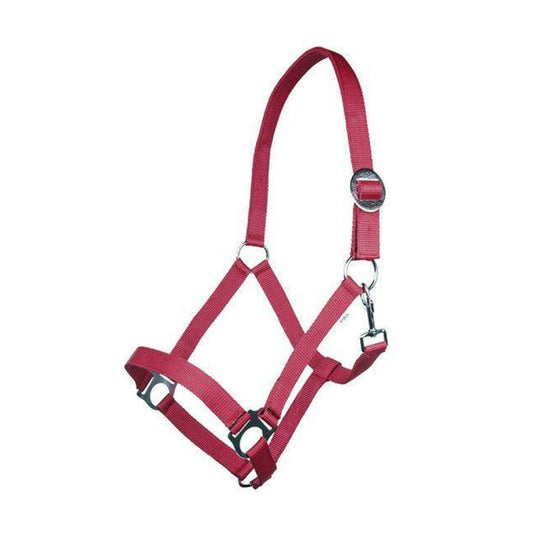 Cabezada de cuadras HKM Head Collar Stars Economy Softice para equitación - vista 2