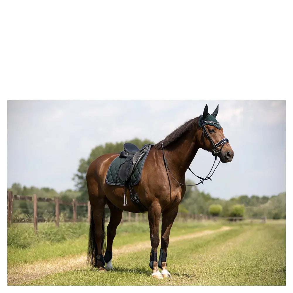 Protectores Traseros Br Event no elásticos