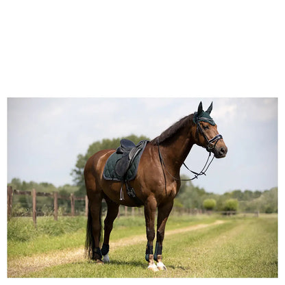 Protectores Traseros Br Event no elásticos