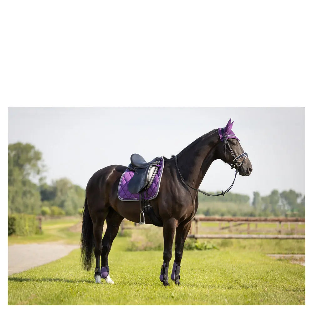 Protectores Traseros Br Event no elásticos