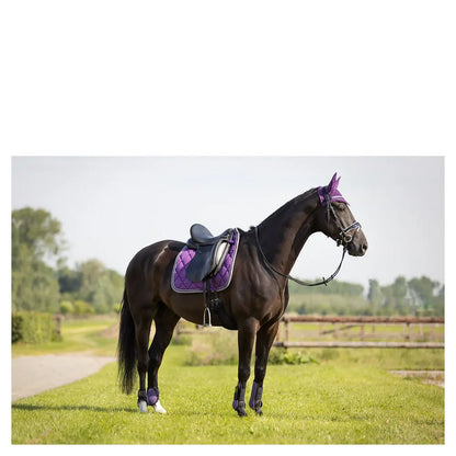 Protectores Traseros Br Event no elásticos