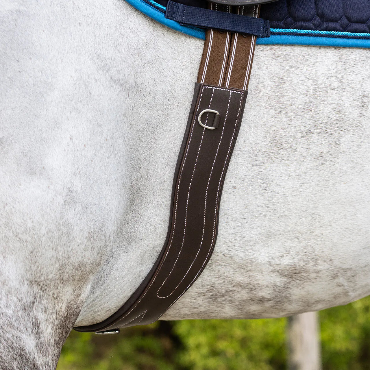 Cincha cincha con luxury stitching QHP para equitación - vista 2