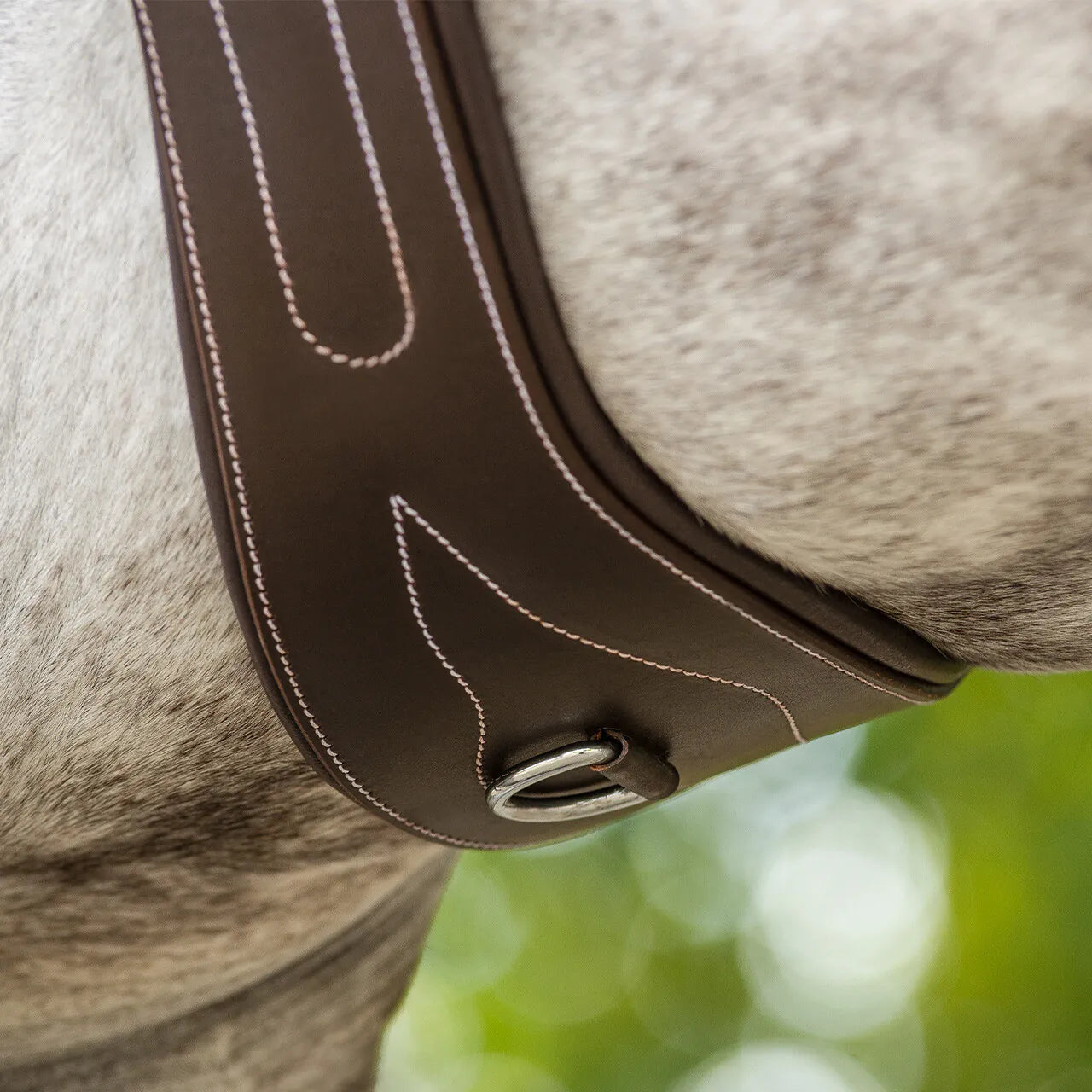 Cincha cincha con luxury stitching QHP para equitación - vista 6