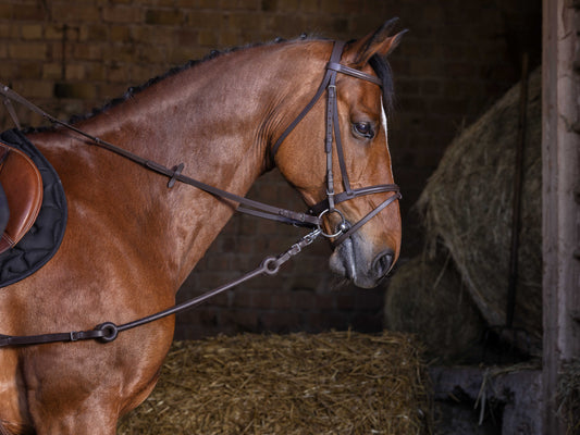 Riendas de atar Pirelli Riding World para equitación - vista 3