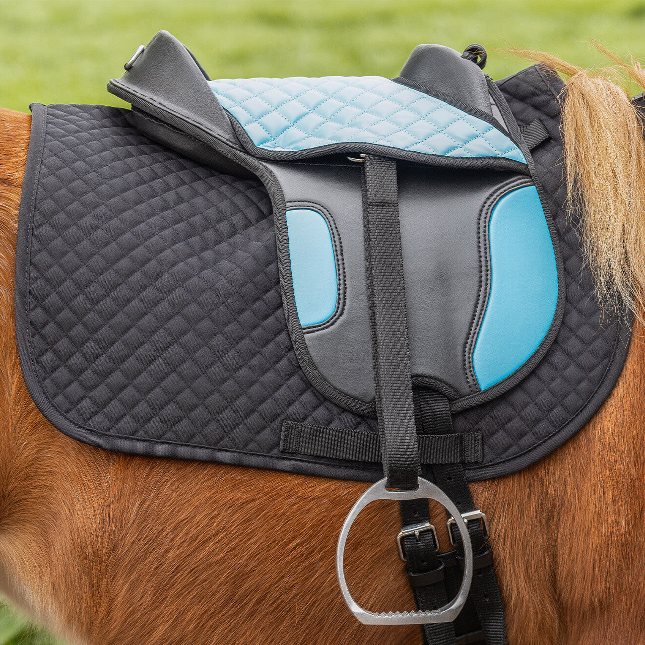 Cinchas Shetland silla QHP para equitación