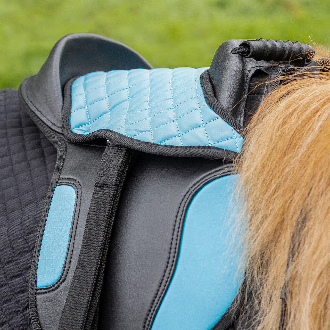Cinchas Shetland silla QHP para equitación - vista 23