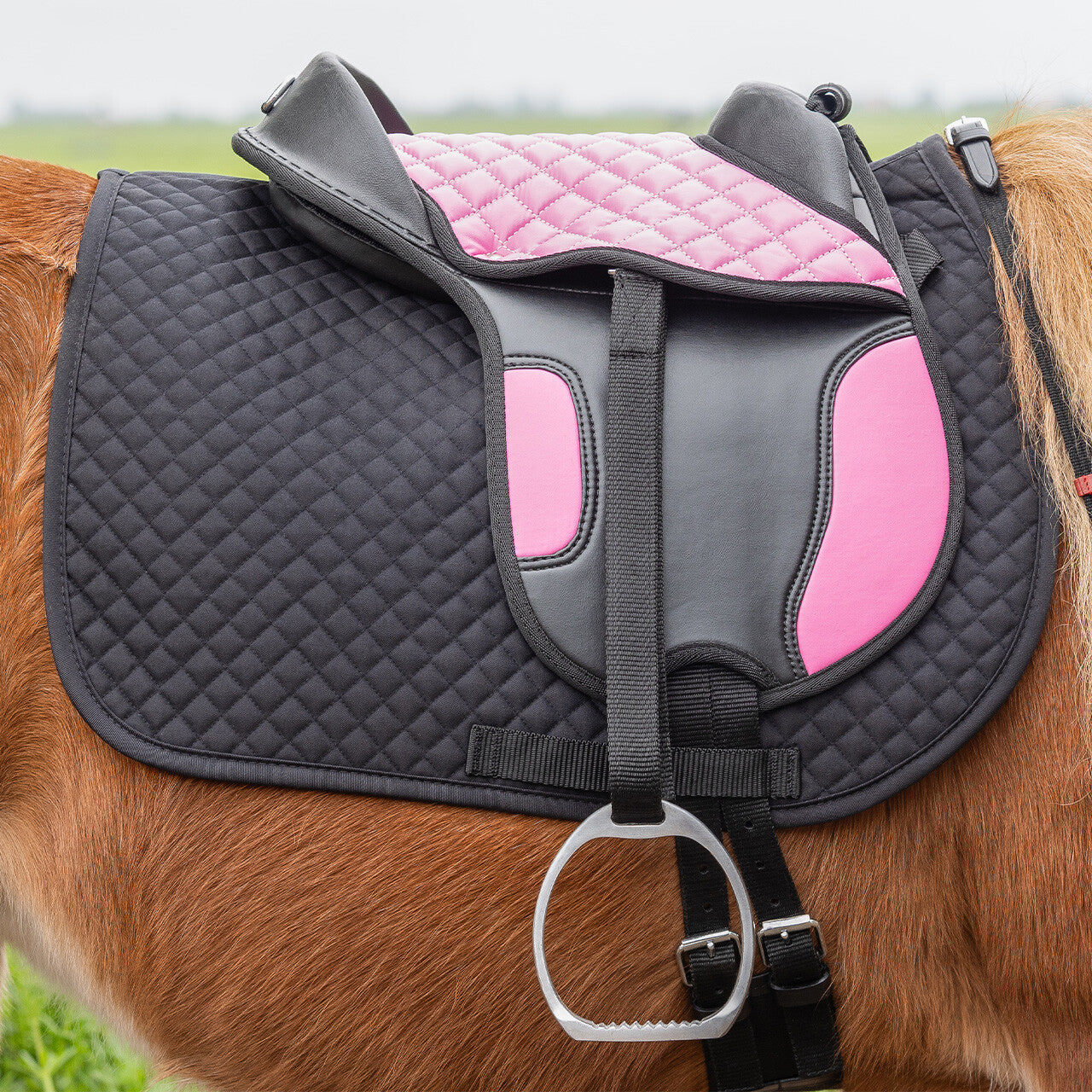 Cinchas Shetland silla QHP para equitación - vista 11