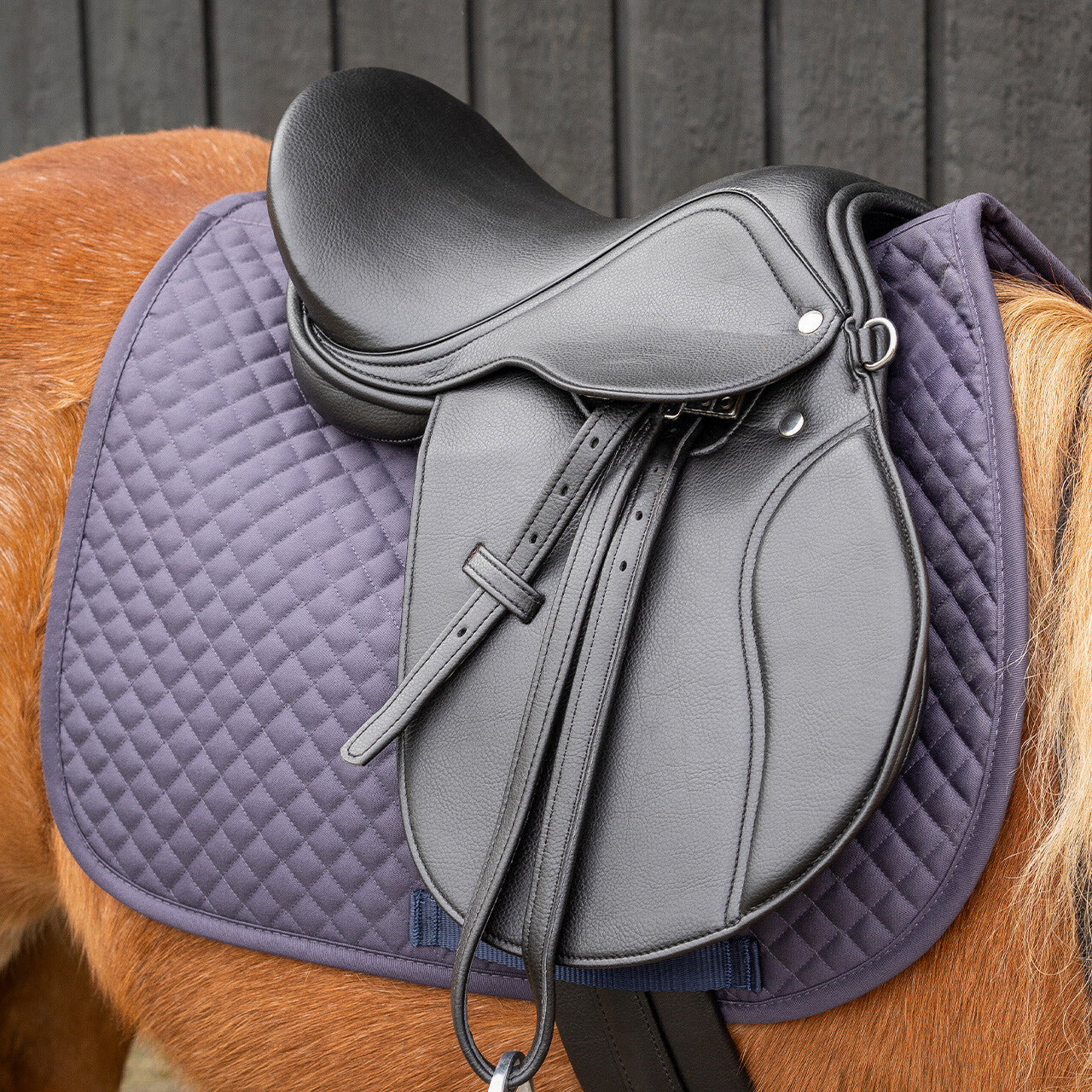 Cinchas Complete silla set QHP para equitación - vista 17