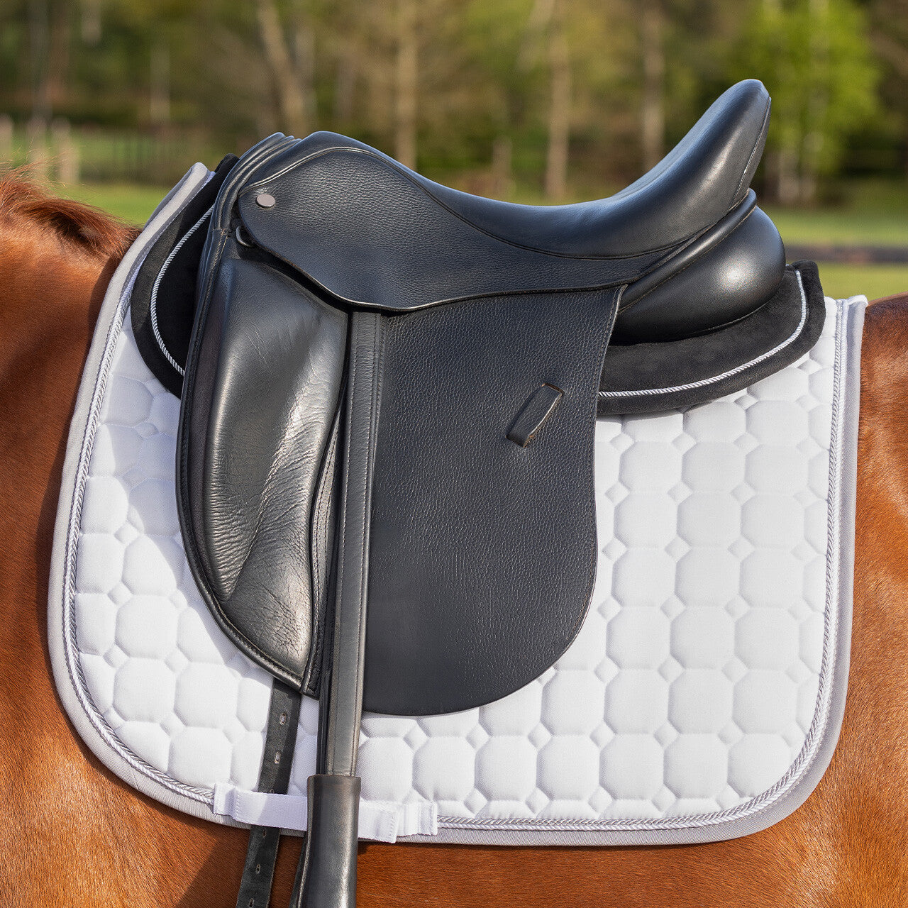 Mantillas salvacruz memory espuma QHP para equitación - vista 6