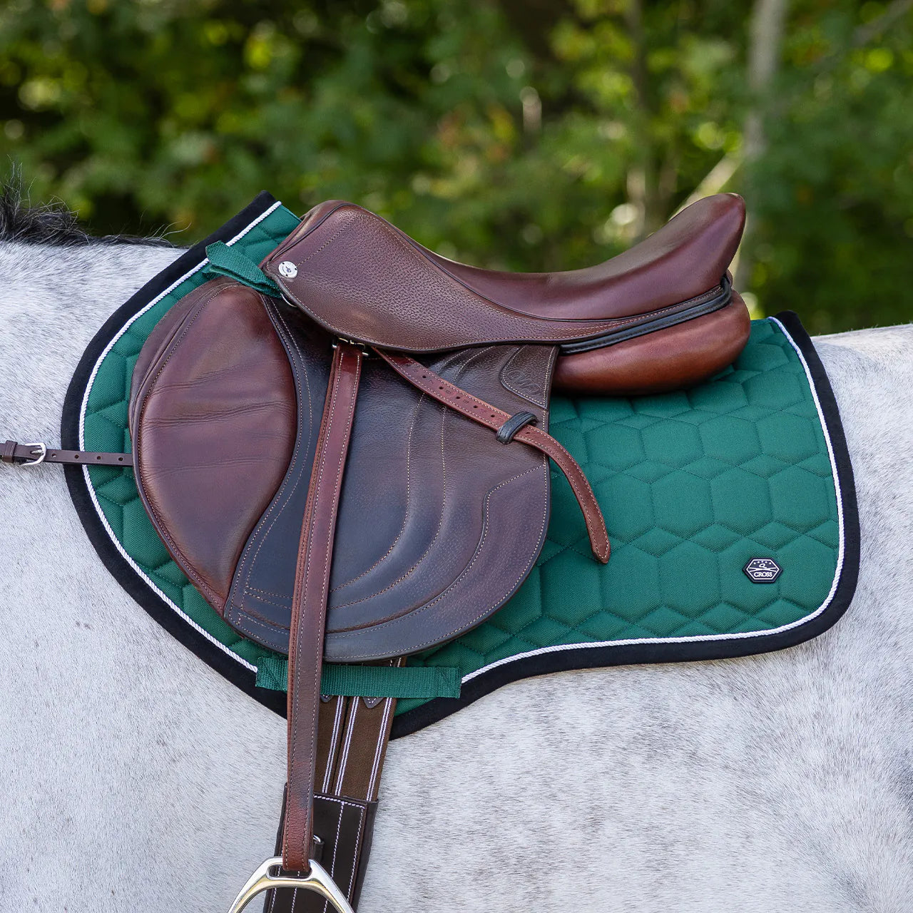 Mantillas Eldorado QHP para equitación - vista 8