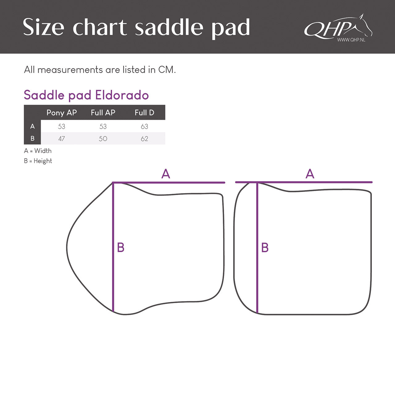 Mantillas Eldorado QHP para equitación - vista 15