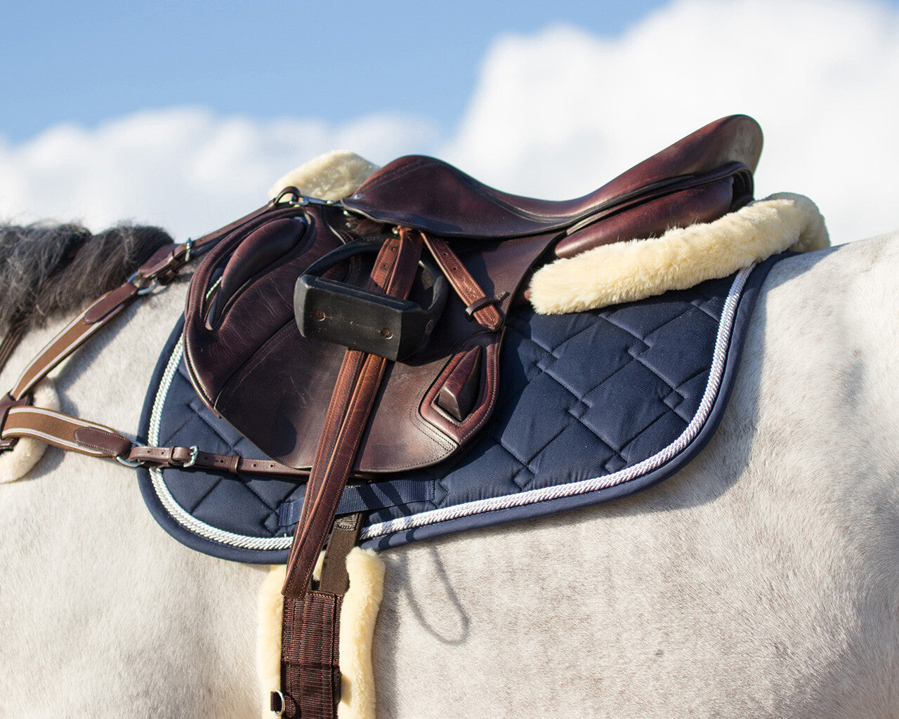 Mantillas salvacruz memory espuma Ontario QHP para equitación - vista 5