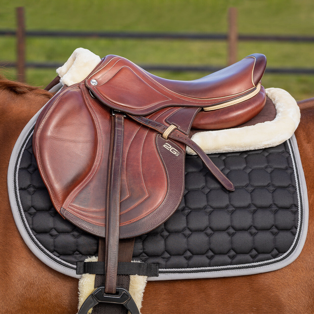 Mantillas salvacruz memory espuma Ontario QHP para equitación - vista 16