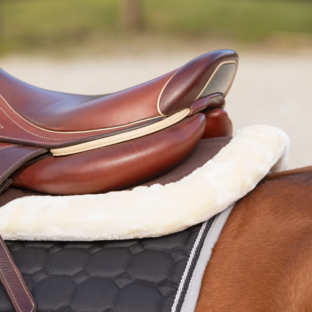 Mantillas salvacruz memory espuma Ontario QHP para equitación - vista 18