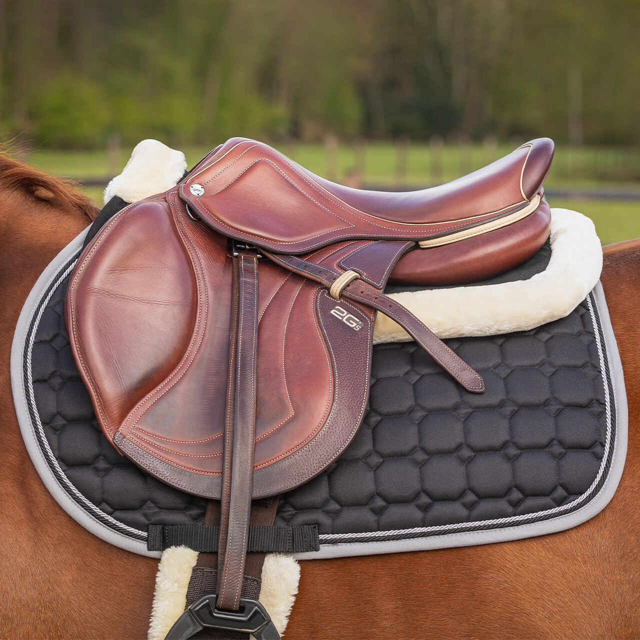 Mantillas salvacruz memory espuma Ontario QHP para equitación - vista 28