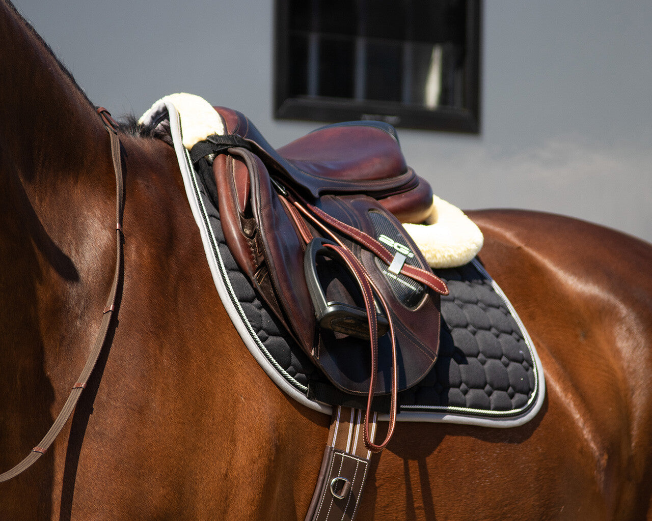 Mantillas salvacruz memory espuma Ontario QHP para equitación - vista 9