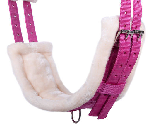 Cincha Lunging cincha color QHP para equitación
