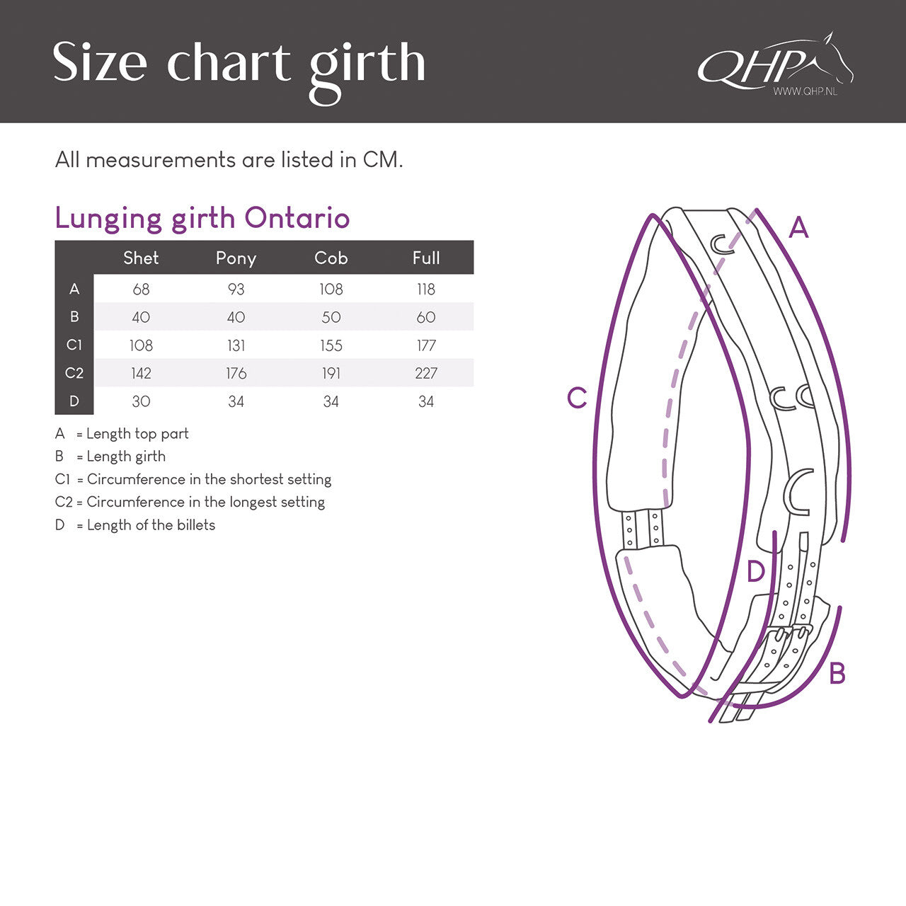 Cincha Lunging cincha color QHP para equitación - vista 17