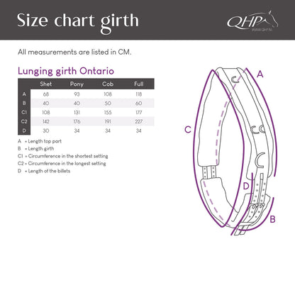 Cincha Lunging cincha color QHP para equitación - vista 17