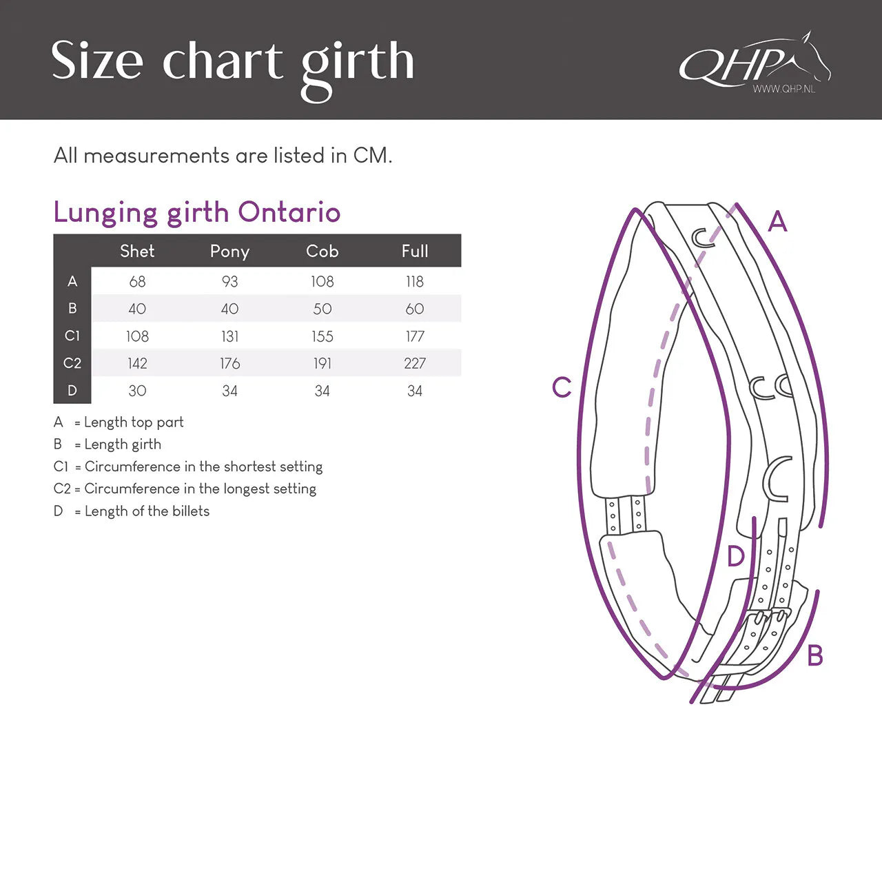 Cincha Lunging cincha color QHP para equitación - vista 18