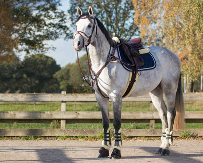 Cincha All Purpose cincha Ontario QHP para equitación - vista 35